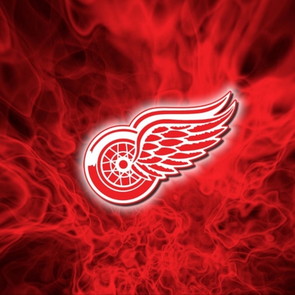 Detroit Red Wings NHL Hockey Sports BBQ Grilling Tool Set 3Pcs. - Picture 8 of 11